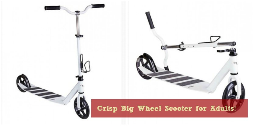 Adult sized big wheel