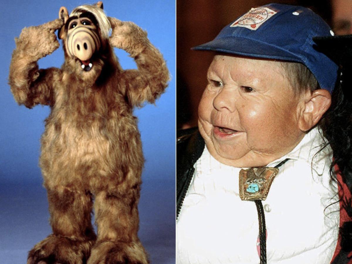 Alf Actor Dead At Age 76 - Mum's Lounge