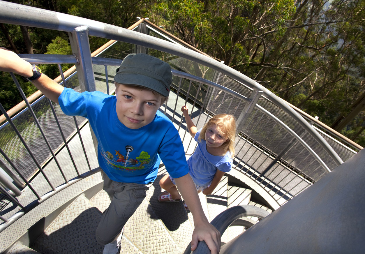 Illawarra Fly Treetop Walk Kids climbing stairs