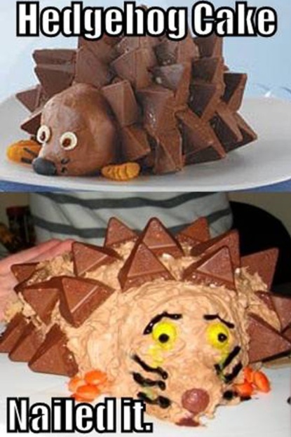 hilarious birthday cake fails hedgehog 6