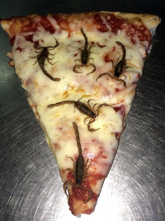 bizarre pizzas scorpion pizza
