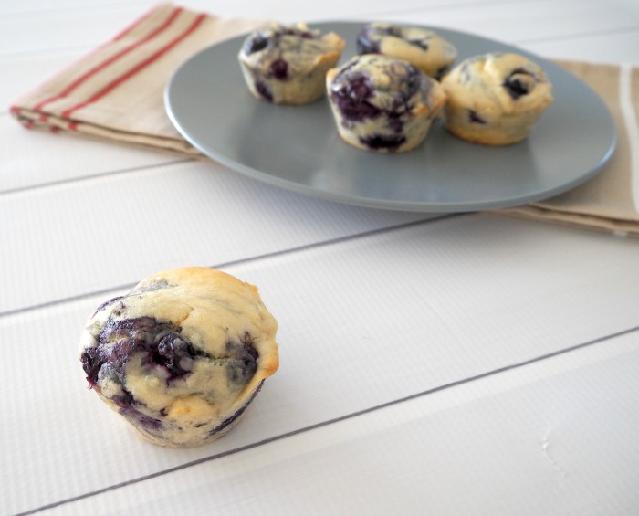 Blueberry Muffins ML