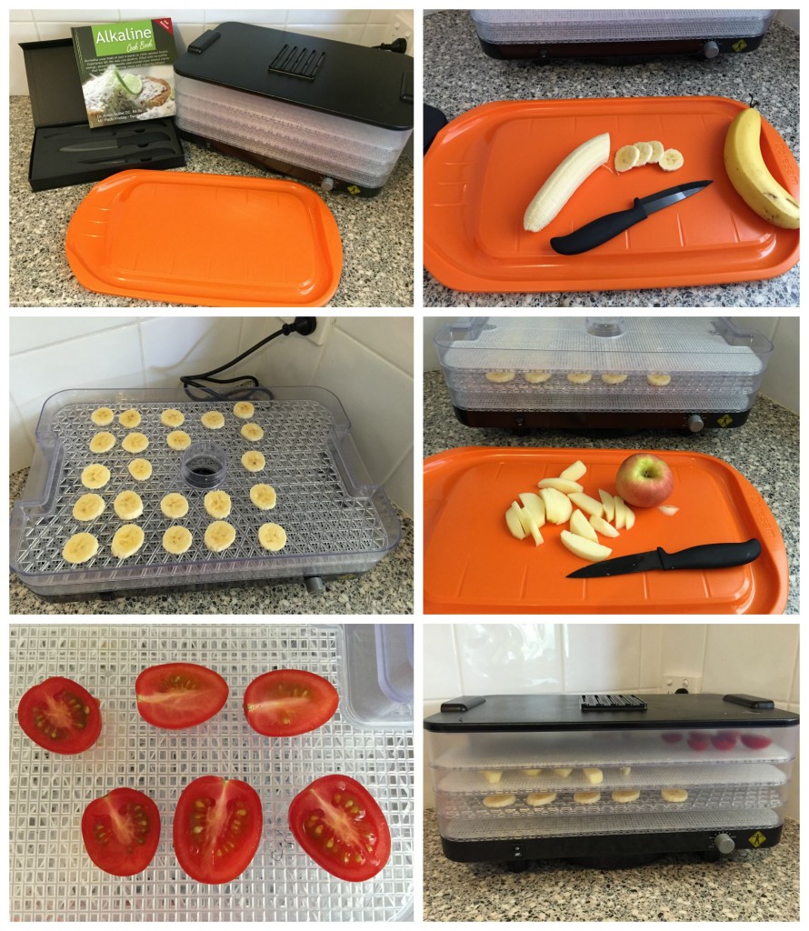 Kuvings l'equip dehydrator review