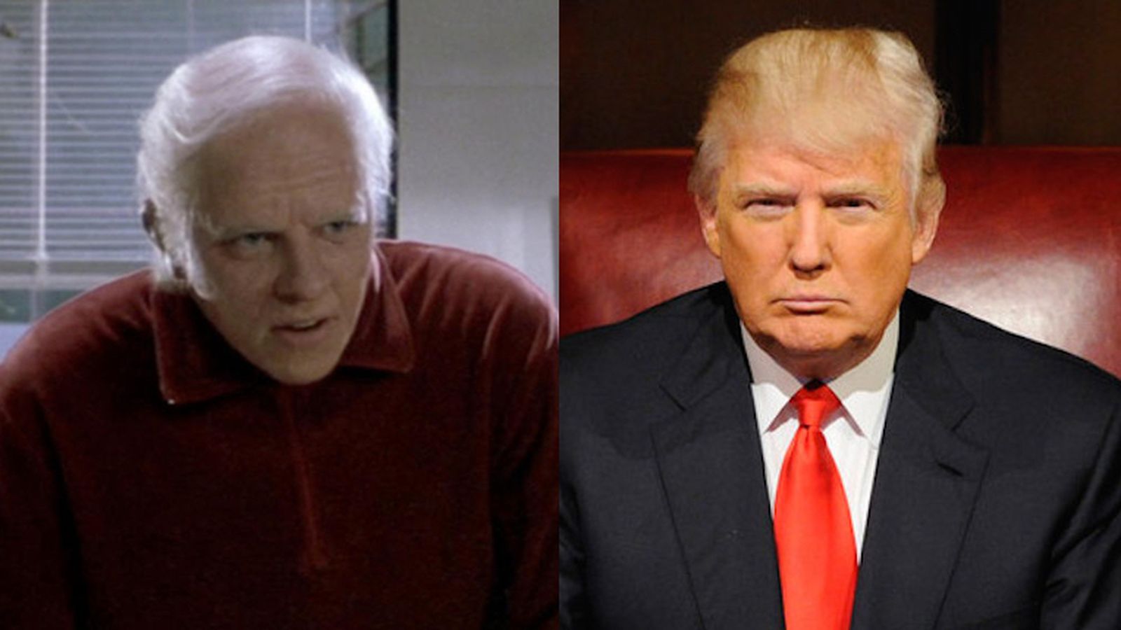 Is Biff Tannen Really Based On Donald Trump Is Biff Tannen Really Based On Donald Trump