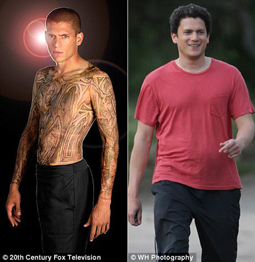 wentworth-miller-got-fat1