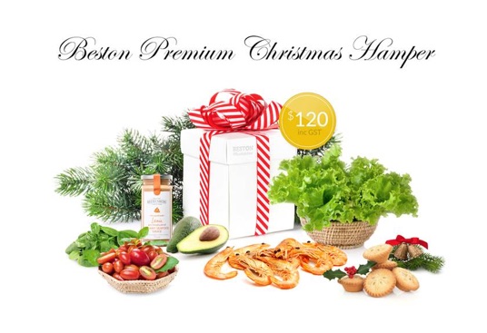 beston-premium-christmas-hamper-2