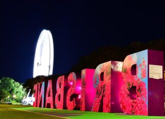 Travelling to Brisbane with the Kids? Find Out The Top 6 Things to Do in Brisbane as a Family After Dark